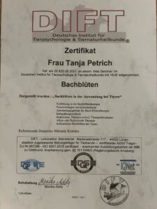 DIFT Bachblüten Seminar